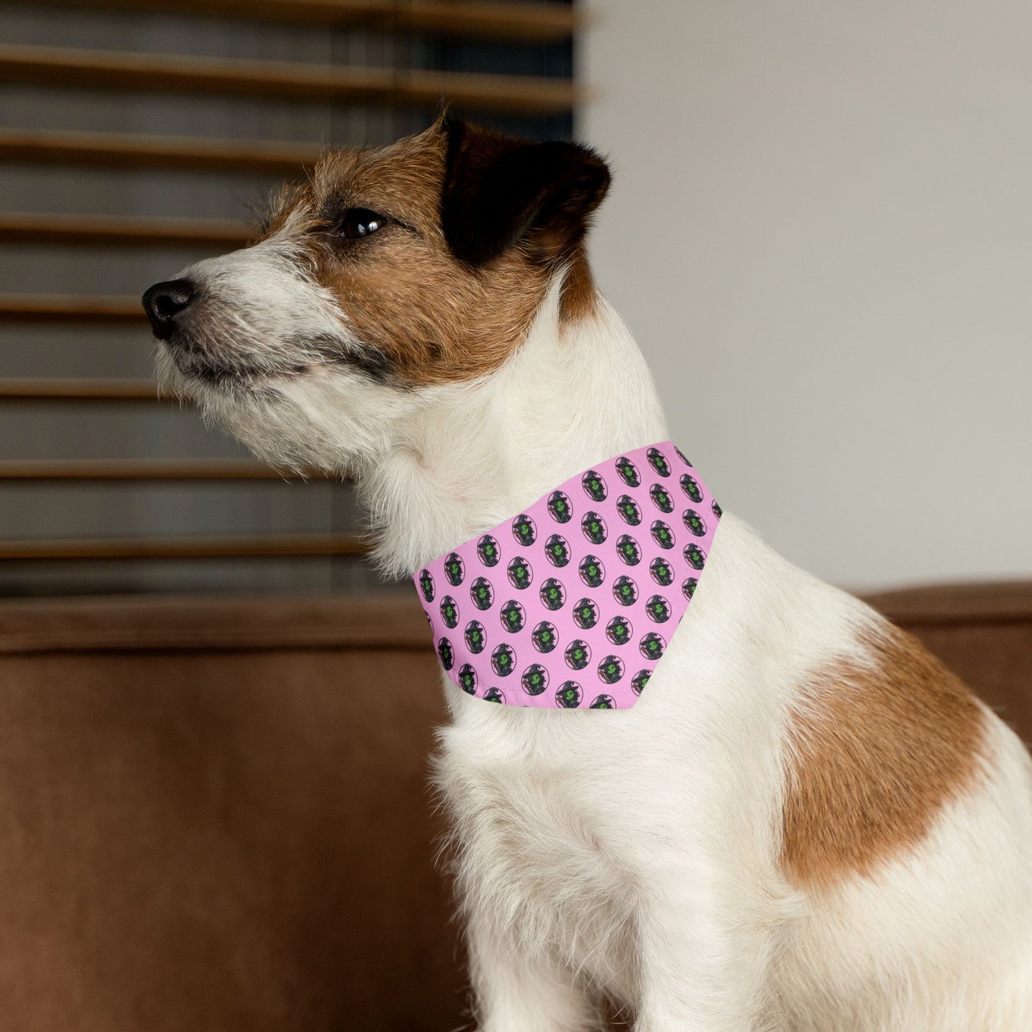 Sidekick Bandana
